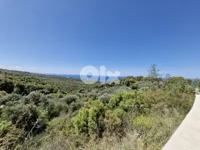 Land for sale in Berbara أرض للبيع في البربارة