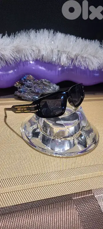 Christian Dior luxurious WOMEN Black luxury Sunglasses