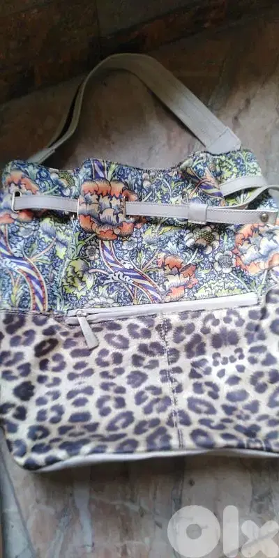 جذدان Just cavalli
