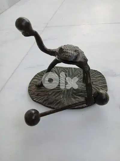 ضفدع برونز مميز