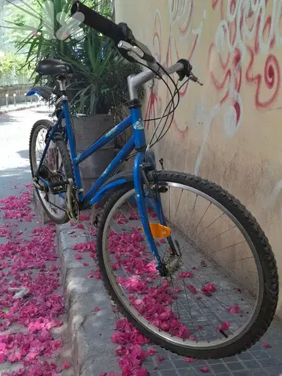 BIKE 26" 90$