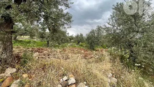 RWB155SN - Land for sale in Kousba - Koura