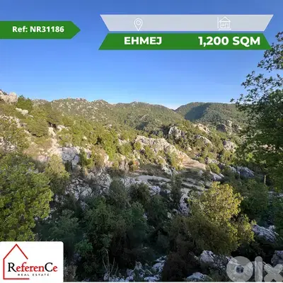 Land for sale in ehmej أرض للبيع في أهمج