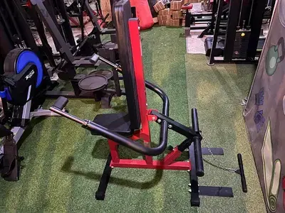 Biceps And Dips Machine GEO sport معدات رياضية متنوعة