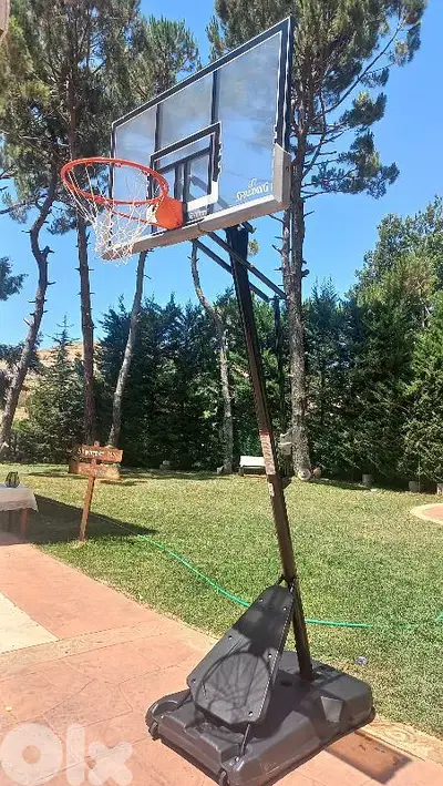 Now 330$ movable hoop basketball (spalding)