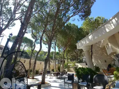 1061 m2 Villa+Pool &Garden+Mountain view 4 Sale in Aley - فيلا عاليه
