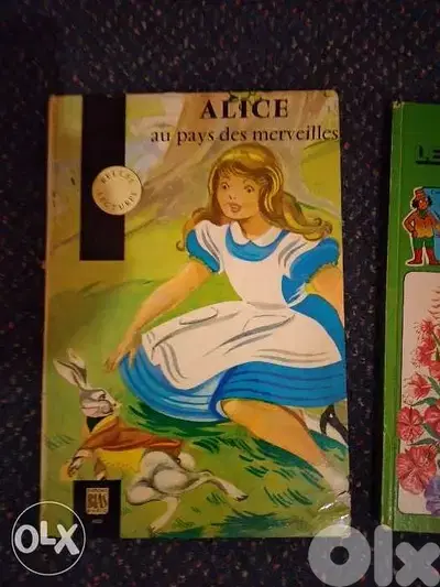 Alice et j'observe les fleurs.