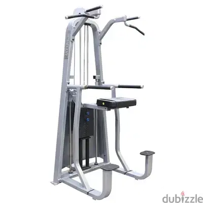 assistant chin/dip press, precor (like new)