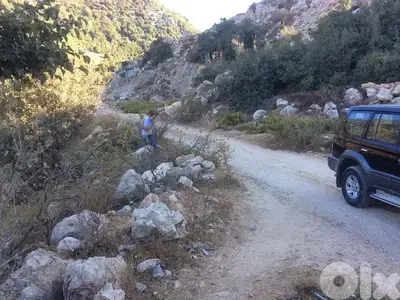 land for sale in artaba jbeil أرض للبيع في قرطبا جبيل