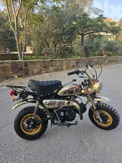 monkey gold limited edition