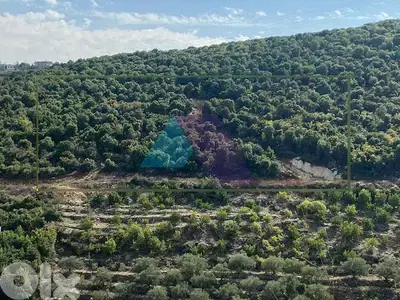 land+open mountain/sea view 4 sale in Batroun أرض للبيع في البترون