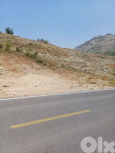 Land for sale facing tannourine cedars forest أرض مشرفة على أرز تنورين