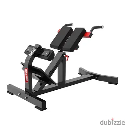 back extension and abs machine