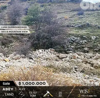 Prime 13,107 SQM Land for SALE in Abey - Aley !