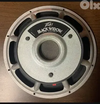 Peavey Black Widow Speaker