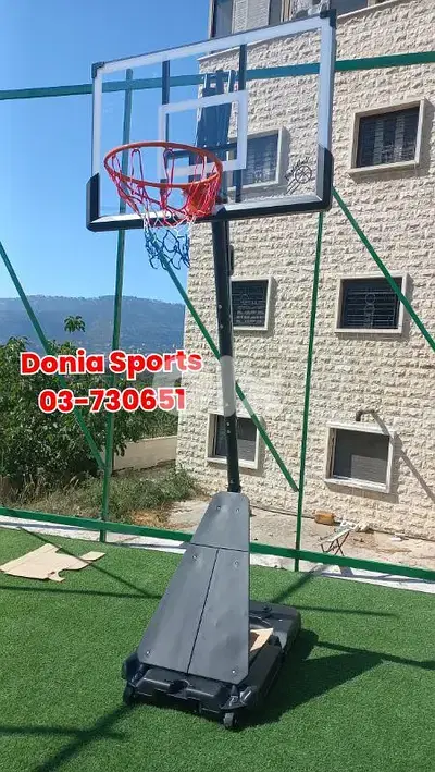 230$ movable basketball hoop