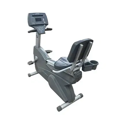 lazy bike life fitness like new