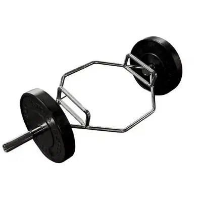trap bar for heavy duty weight