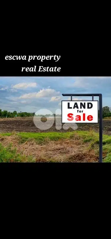 land for sale in kferhtay batroun أرض للبيع في كفرحتي البترون