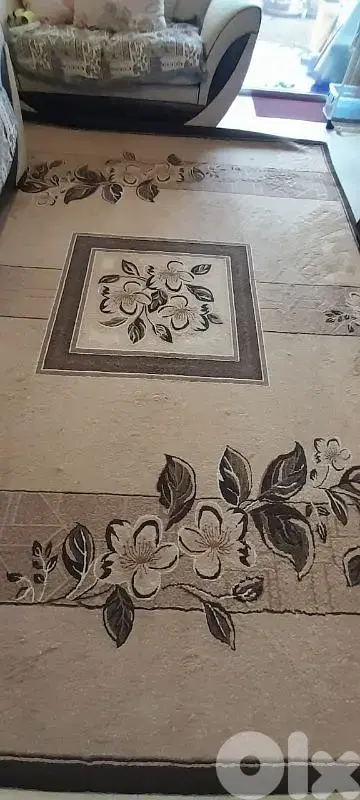 carpet living room
