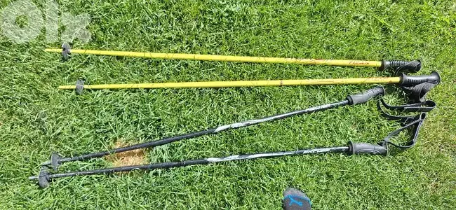 pair of 2 ski poles  Fizan and vector kerma