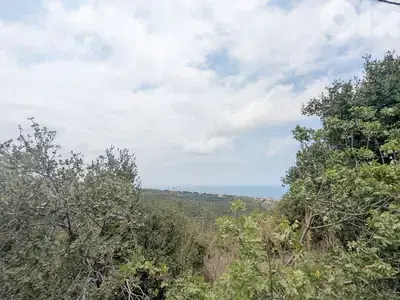 Residential land for sale in Berbara,  jbeil_  أرض للبيع في البربارة