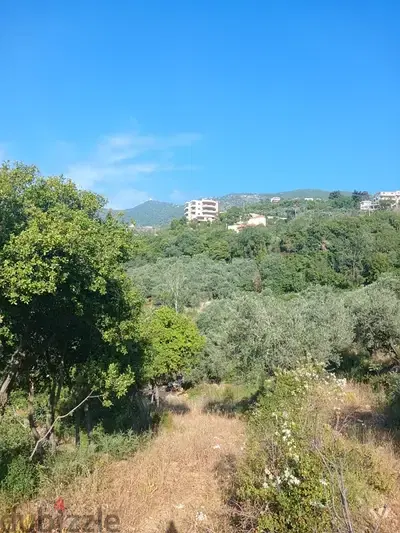 Land for sale in Jbaa | أرض للبيع في جباع Land for sale in Jbaa | أرض للبيع في جباع