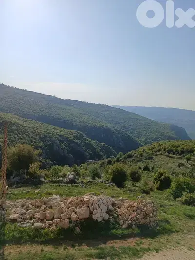 أرض للبيع في كفرسلوان Land sale in Kfarselwan من ترشيش أو طريق المتين