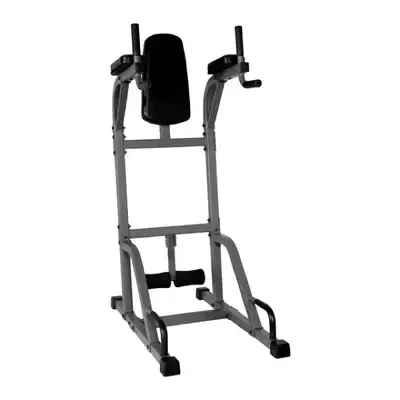dips and abs machine