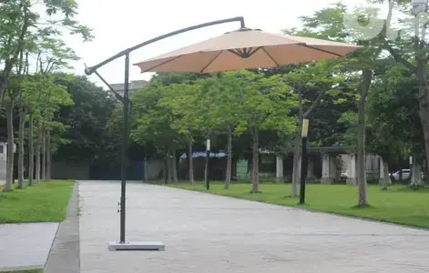 banana umbrella
