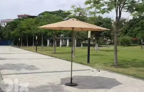 Malaysian umbrella