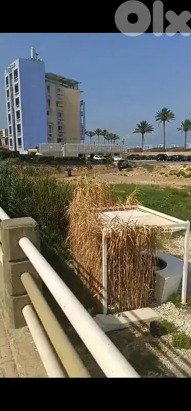 land for sale in halat أرض للبيع في حالات