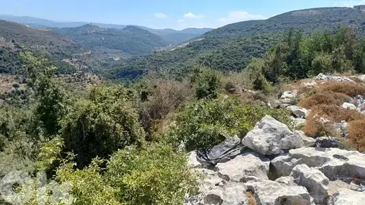 Land for sale in batroun أرض للبيع في البترون