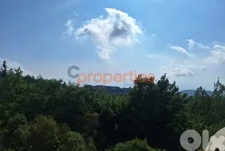 Land For Sale In Azra - CPJGK03