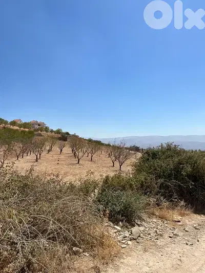 maalaka aradi land 2198 sqm for sale #6744