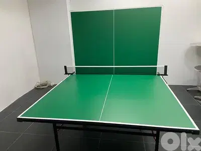 Table tennis pingpong outdoor