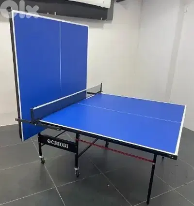 Table tennis ping pong indoor