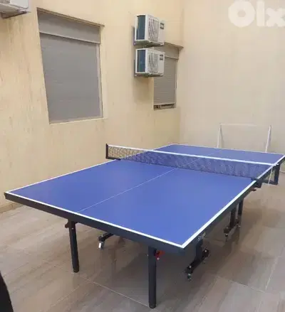 pingpong table