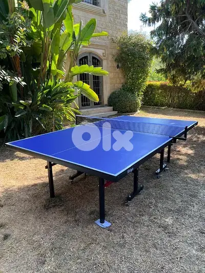 pingpong table