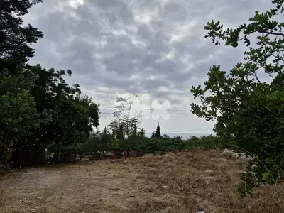 Land for sale in Aamchit Jbeil