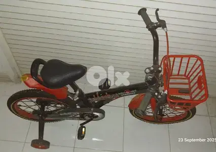 Bicycle 12"
