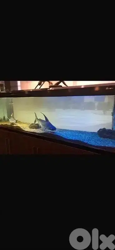 Aquarium fish tank + closet kit (serious buyers please)