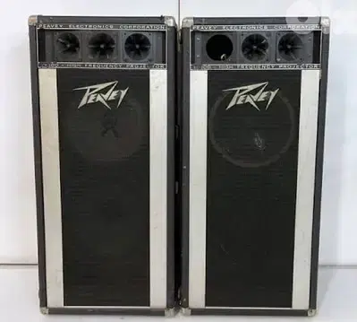 peavey ampli system reverb mic
