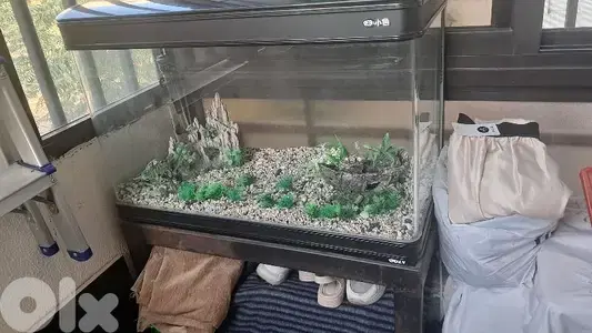 aquarium 80cm like new