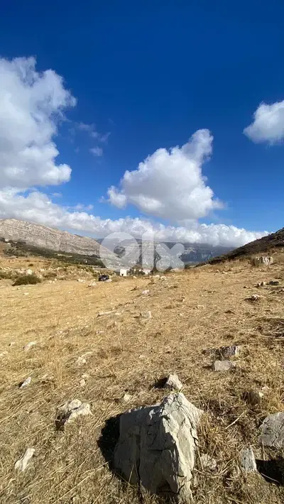 Land for sale in Laklouk - أرض للبيع في اللقلوق