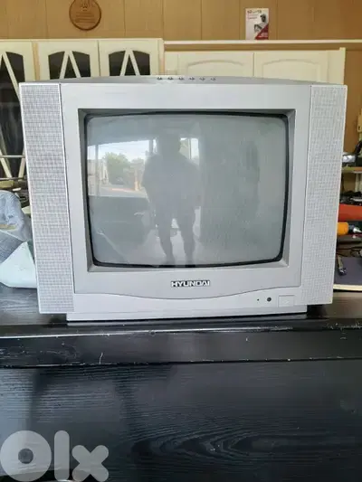 TV hunday