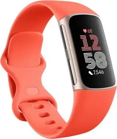 Fit Charge 6