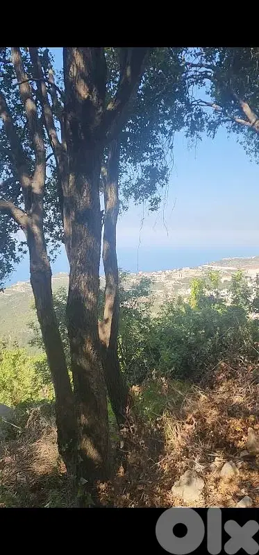 land for sale in kfour أرض للبيع في الكفور