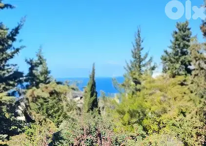 Land for sale in Biyada/ Seaview/ Residential & Commercial