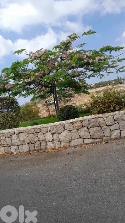 Land for sale in Rmeileh | أرض للبيع في الرميلة Land for sale in Rmeileh | أرض للبيع في الرميلة